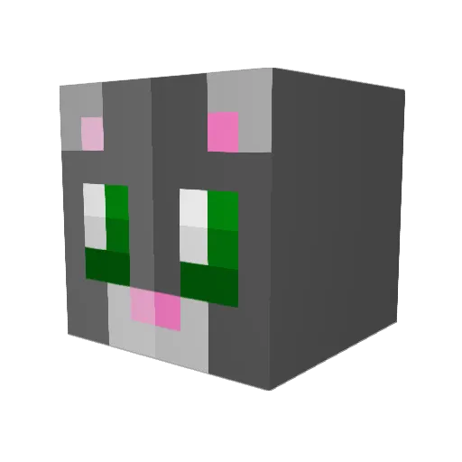 Ender_Jai Minecraft avatar head, 3D render