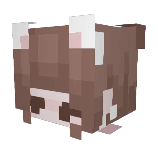 Ender_Perry Minecraft avatar head, 3D render