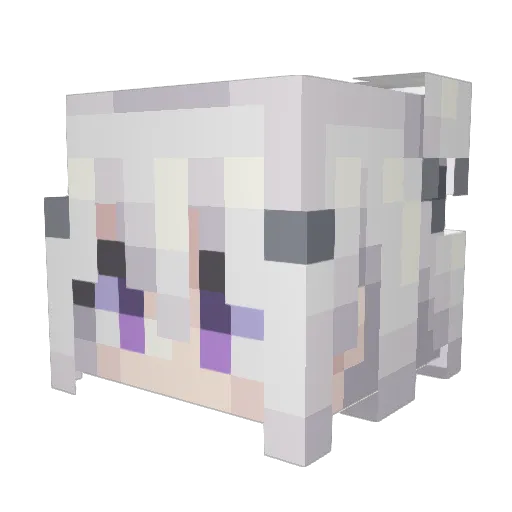Ender_RuiEr Minecraft avatar head, 3D render
