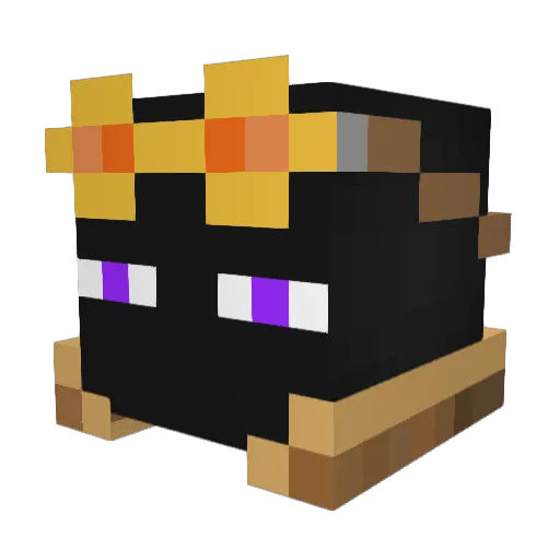 Ender_Seva Minecraft avatar head, 3D render