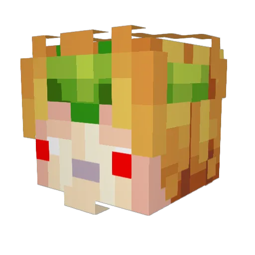Ender_Slayer274 Minecraft avatar head, 3D render