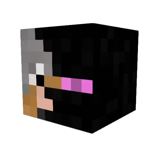 Ender_Wolf01 Minecraft avatar head, 3D render