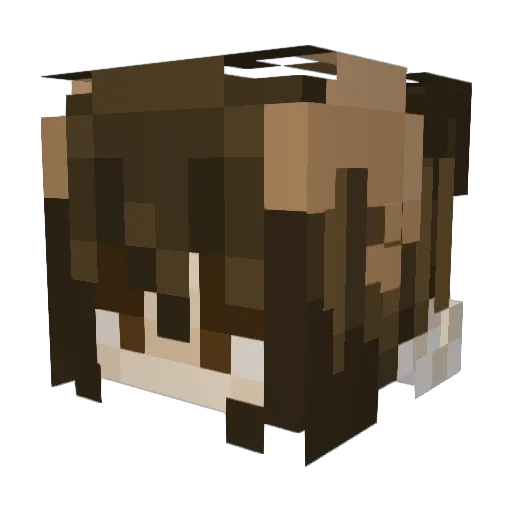 Ender___ Minecraft avatar head, 3D render
