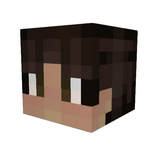 Ender_creeper98 Minecraft avatar head, 3D render