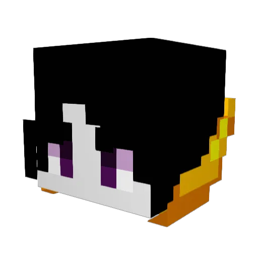 Ender_king724 Minecraft avatar head, 3D render