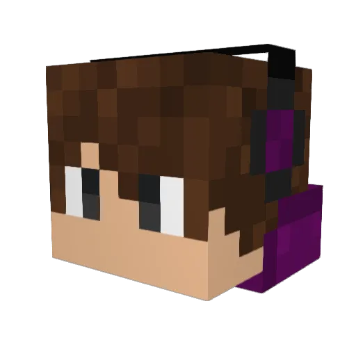 Ender_ninja11 Minecraft avatar head, 3D render