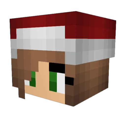 Ender_slayer_24 Minecraft avatar head, 3D render