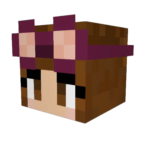 Ender_something Minecraft avatar head, 3D render