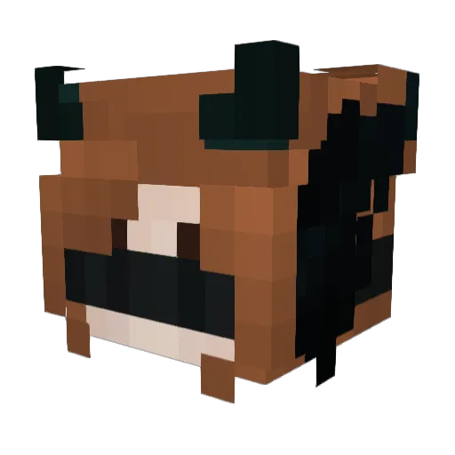 Ender_the_Nobody Minecraft avatar head, 3D render