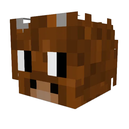 Enderace2811 Minecraft avatar head, 3D render