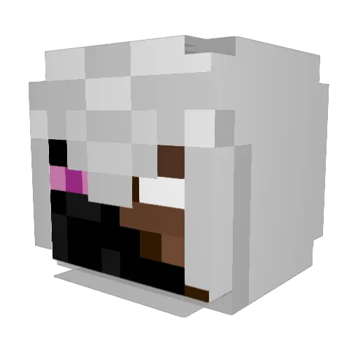 Enderbrine7 Minecraft avatar head, 3D render