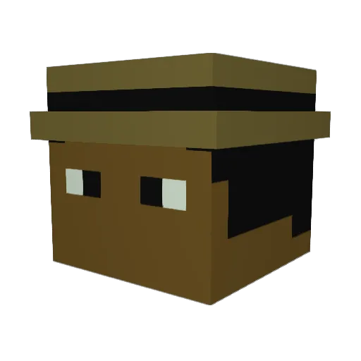 Enderbro3303 Minecraft avatar head, 3D render
