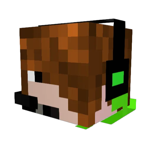 Endercreeper027 Minecraft avatar head, 3D render