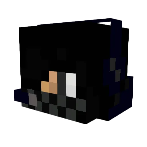 EnderdragonMan99 Minecraft avatar head, 3D render