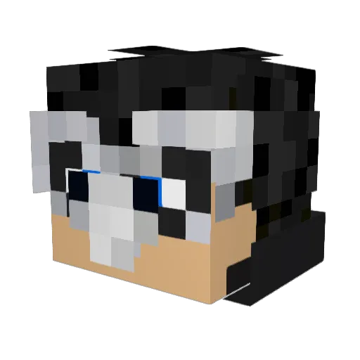 Enderdude261 Minecraft avatar head, 3D render