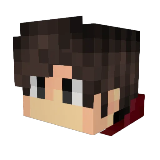 Enderguy3579 Minecraft avatar head, 3D render