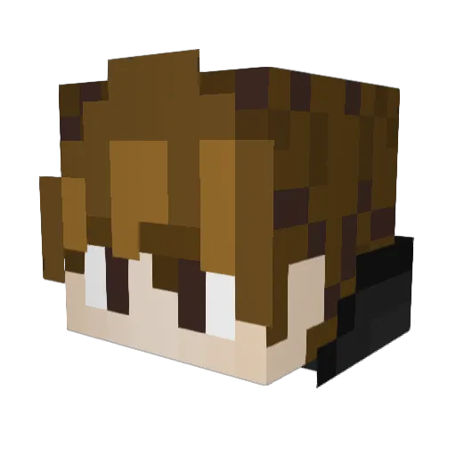 EnderianVault Minecraft avatar head, 3D render