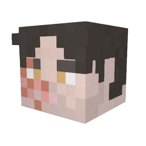 Enderking77 Minecraft avatar head, 3D render