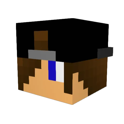 Enderman353 Minecraft avatar head, 3D render