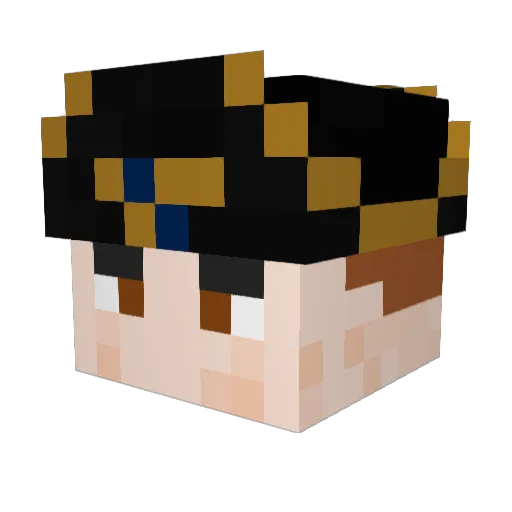 EndermanRoy Minecraft avatar head, 3D render