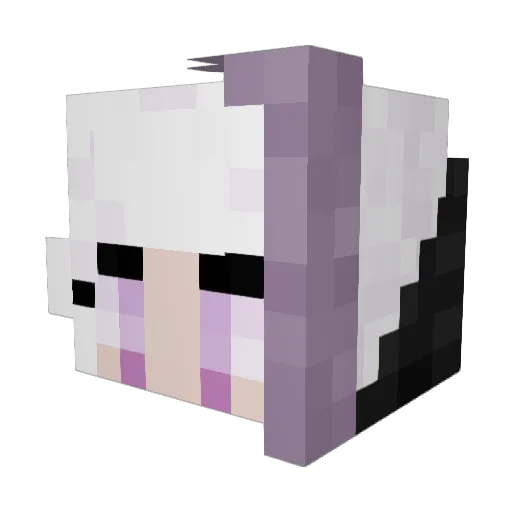 Endermerr Minecraft avatar head, 3D render