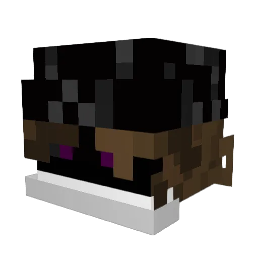 Endermite3948 Minecraft avatar head, 3D render