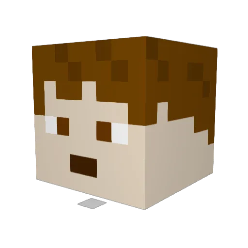 Endermuffin Minecraft avatar head, 3D render
