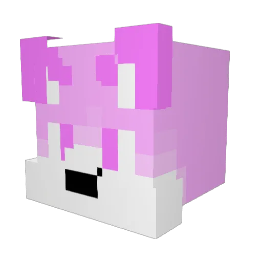 Enderpanda148 Minecraft avatar head, 3D render