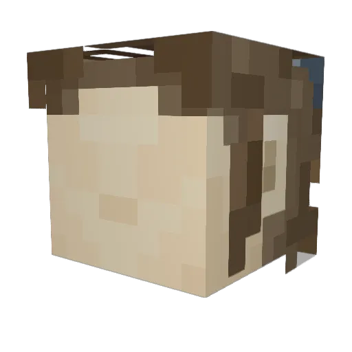 Enderpeliaque Minecraft avatar head, 3D render