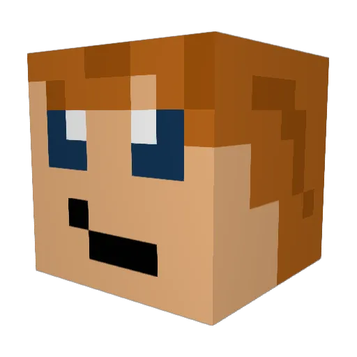 Enderplay45 Minecraft avatar head, 3D render