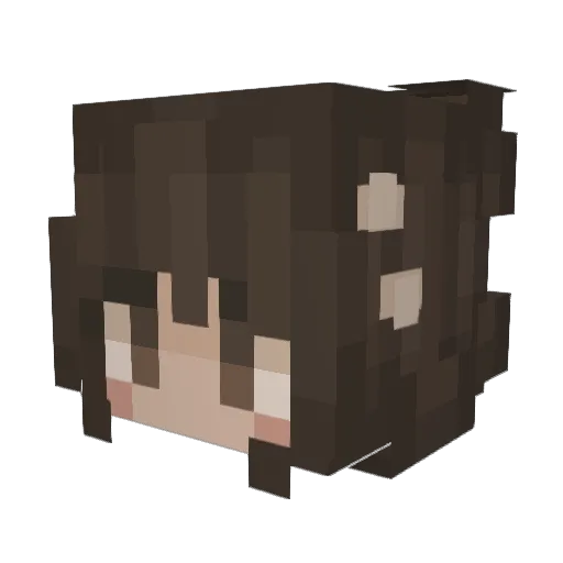 Enderr__ Minecraft avatar head, 3D render