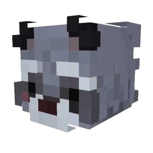 Enders13 Minecraft avatar head, 3D render