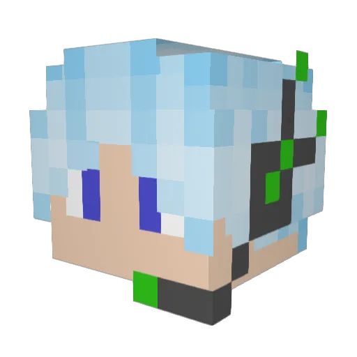 Enders_exe Minecraft avatar head, 3D render