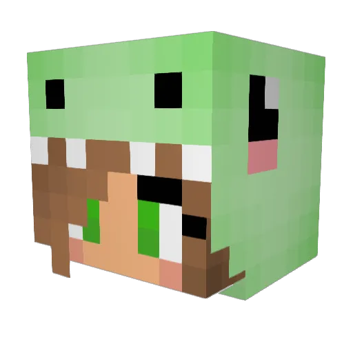 Endersalyer Minecraft avatar head, 3D render