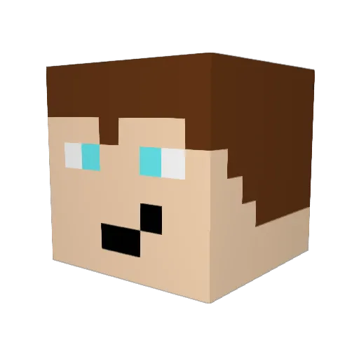 Enderslasher0904 Minecraft avatar head, 3D render