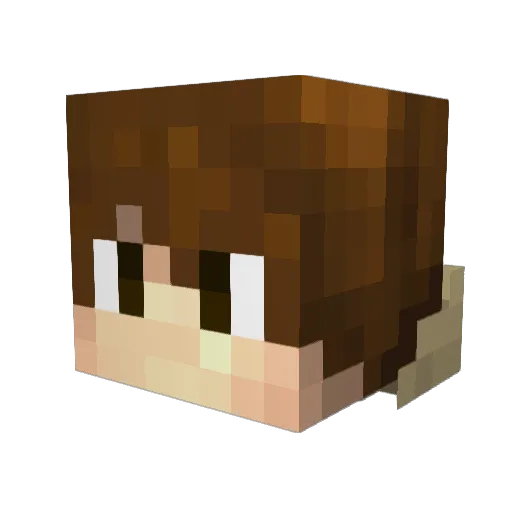 Enderslayer8032 Minecraft avatar head, 3D render