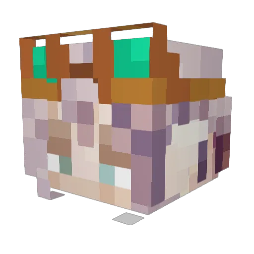 Endertiger777 Minecraft avatar head, 3D render