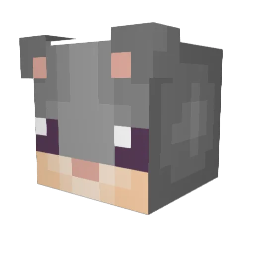 Endertina Minecraft avatar head, 3D render