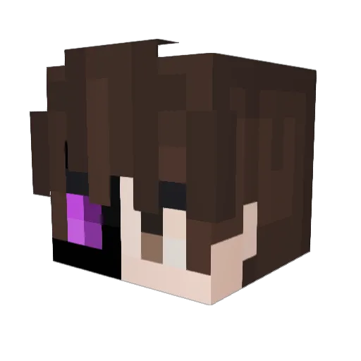 Endertj29 Minecraft avatar head, 3D render