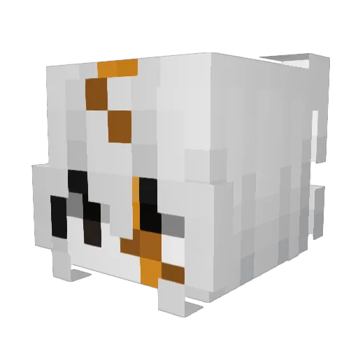 Endertrusca Minecraft avatar head, 3D render