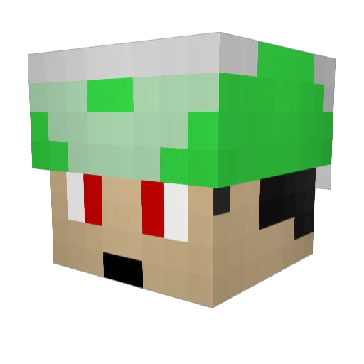 Enderwolfram28 Minecraft avatar head, 3D render