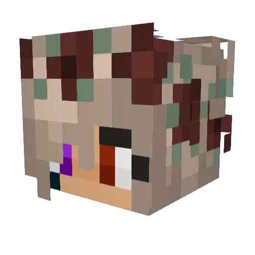 Endez1a Minecraft avatar head, 3D render
