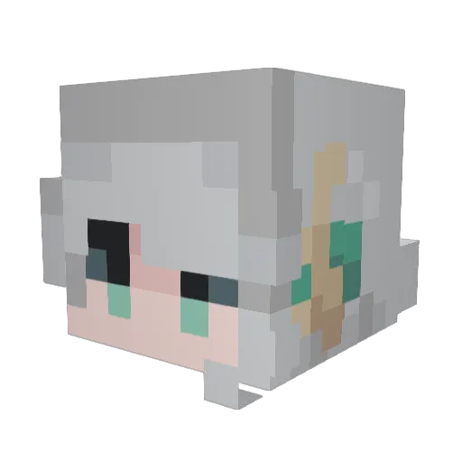 EndiWs Minecraft avatar head, 3D render