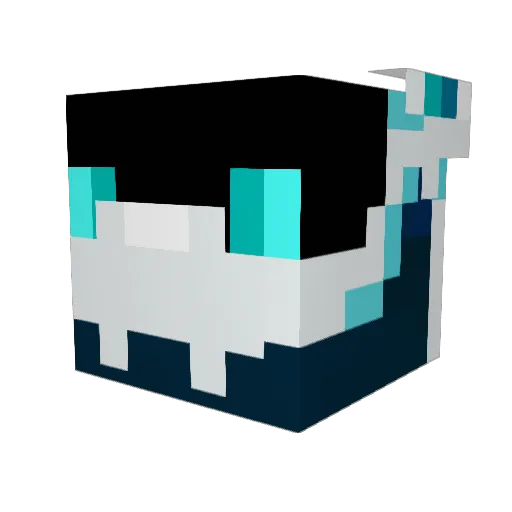Endium999 Minecraft avatar head, 3D render