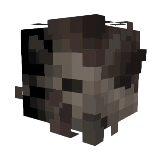 Endl8ssbag Minecraft avatar head, 3D render