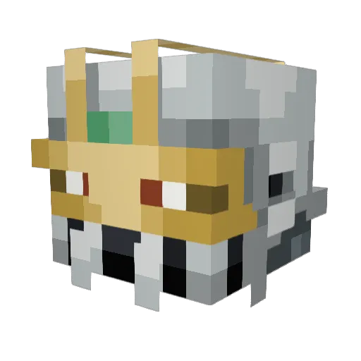 Endless152 Minecraft avatar head, 3D render