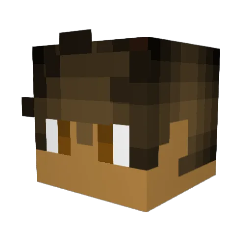 EndlessCommand Minecraft avatar head, 3D render