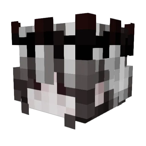 EndlessNyght Minecraft avatar head, 3D render