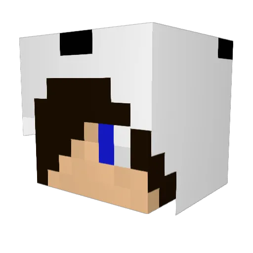 EndlessOni Minecraft avatar head, 3D render