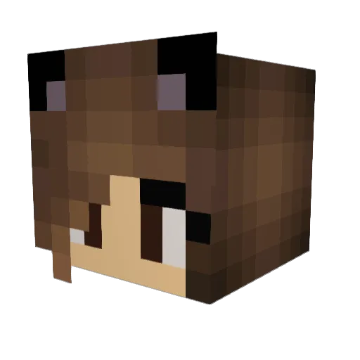 EndlessPorridge Minecraft avatar head, 3D render